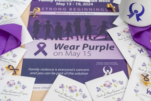 wear purple May 15th poster
